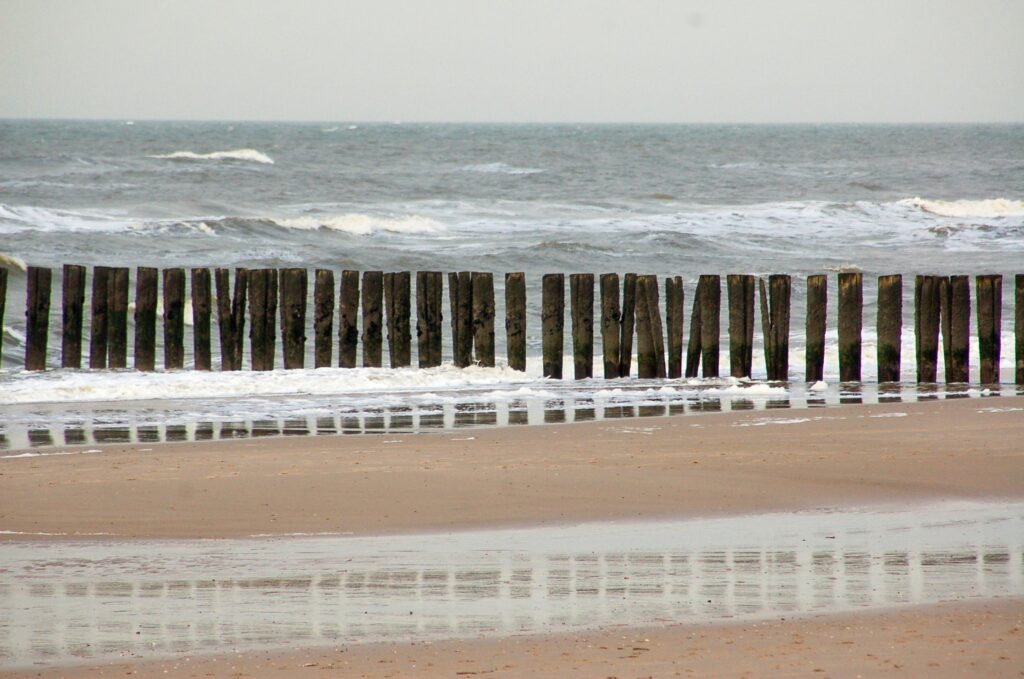 A serene beach scene with wooden groynes extending into the ocean under a cloudy sky.